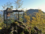 31 Tordo in gabbia con vista verso il Corno e Zuccone dell'arco